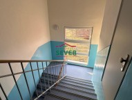 IMG_0959.jpeg