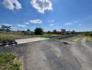 IMG_0375