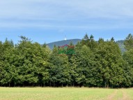 IMG_9192.jpeg
