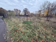 Detail: Zahrada 146 m2