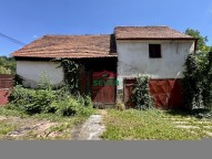 IMG_0340