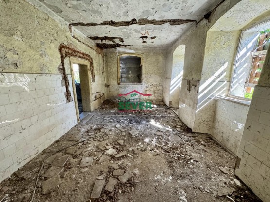 IMG_7675