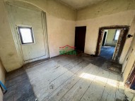 IMG_4477.jpeg