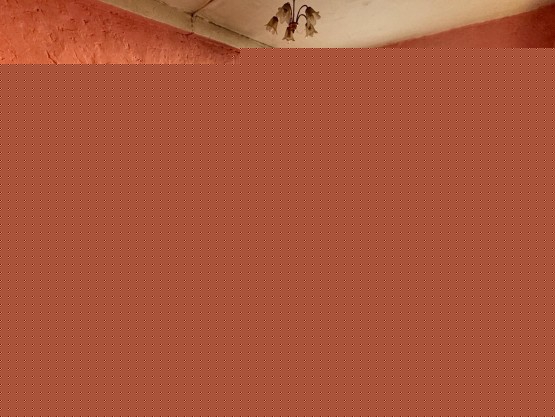 IMG_4506.jpeg