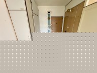 IMG_9498.jpeg