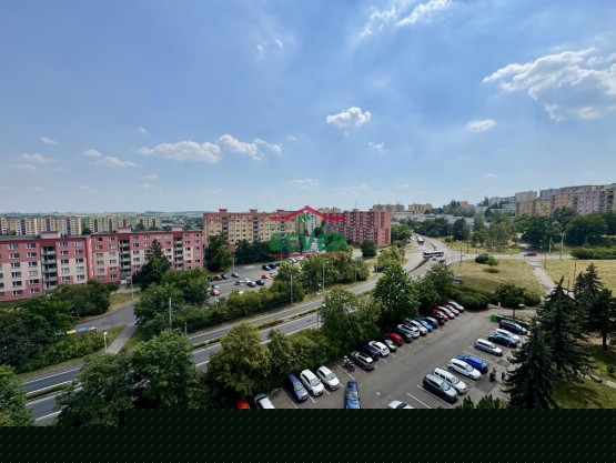 IMG_9506.jpeg