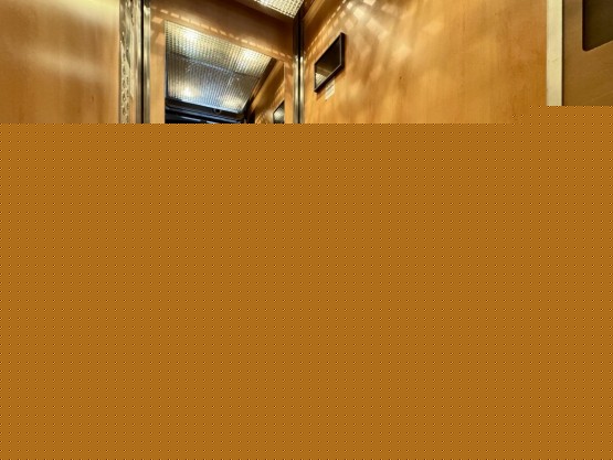 IMG_5003.jpeg