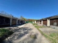 IMG_3959.jpeg
