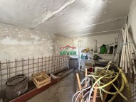 IMG_1205.JPG