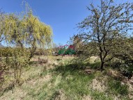 IMG_1259.JPG