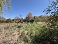 IMG_1258.JPG