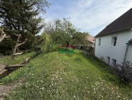IMG_3640.jpeg