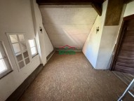 IMG_6945.jpeg
