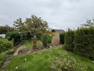 IMG_1460.JPG