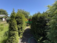 IMG_2062.jpeg