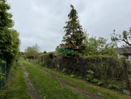 IMG_1462.JPG