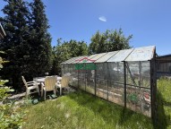 IMG_2054.jpeg