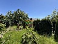IMG_2063.jpeg