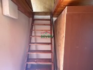 IMG_4515.jpeg