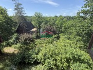 IMG_4513.jpeg