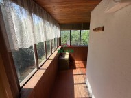 IMG_4528.jpeg