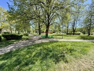 IMG_7143.jpeg