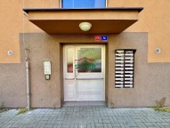 IMG_7142.jpeg