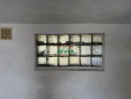 IMG_4598.jpeg