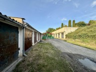 IMG_0646.jpg