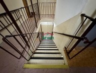 IMG_8463.jpeg
