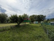 IMG_2318.JPG