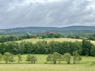 IMG_4906.jpeg
