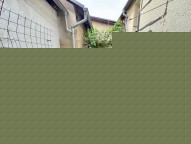 IMG_8945.jpeg