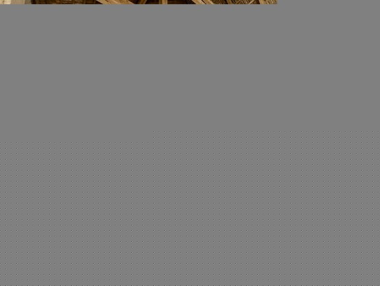 4F8B5051-CABA-4C27-9FA2-7303A4EAB4E5.jpg