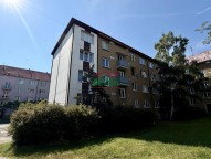 IMG_9715.jpeg