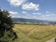 IMG_2857.JPG