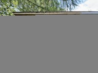 IMG_9446.jpeg