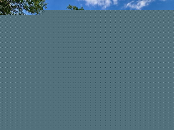 94F8DA23-4D43-4417-8A54-4052DB815035