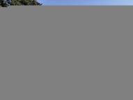 IMG_4154