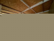 IMG_4536.JPG