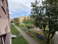 IMG_0684