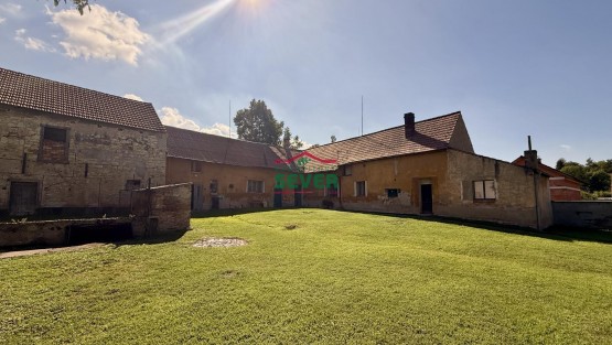 IMG_3929
