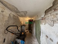 IMG_5580.JPG