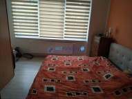 74185553_521264868453995_499536986088931328_n