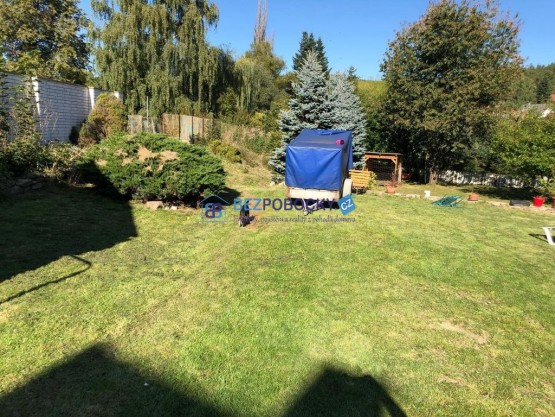 73059493_1201265676750111_7881286308377657344_n