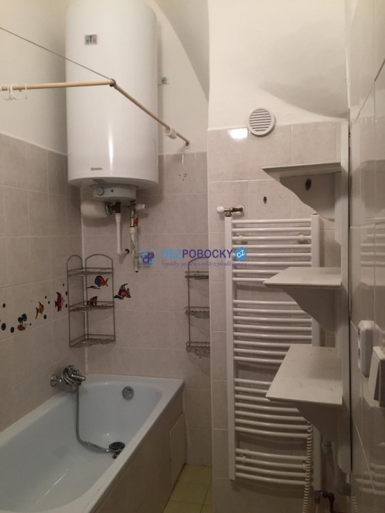 119169110_2683097698611122_3639683908295480408_n