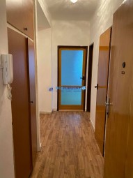 130942390_396081568175610_7550528613384355983_n