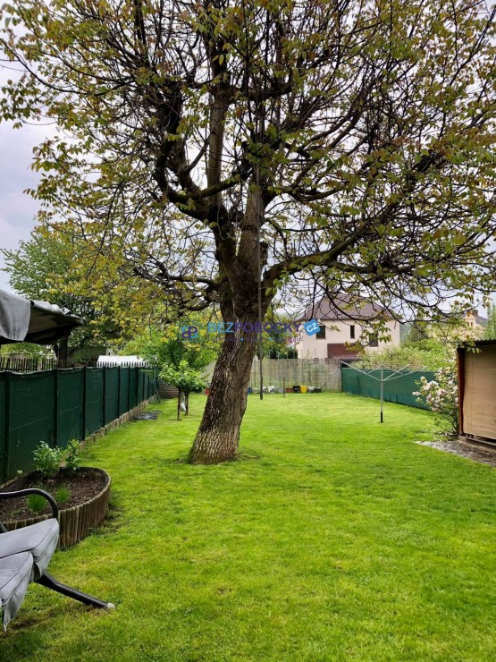 192126108_303907321336375_5132043374317794259_n