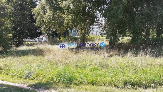 241509990_238914168158091_1129549046856866565_n