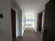 198374077_520524372422459_3363204813041642548_n